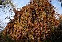 Parco Europa Autunno_035
